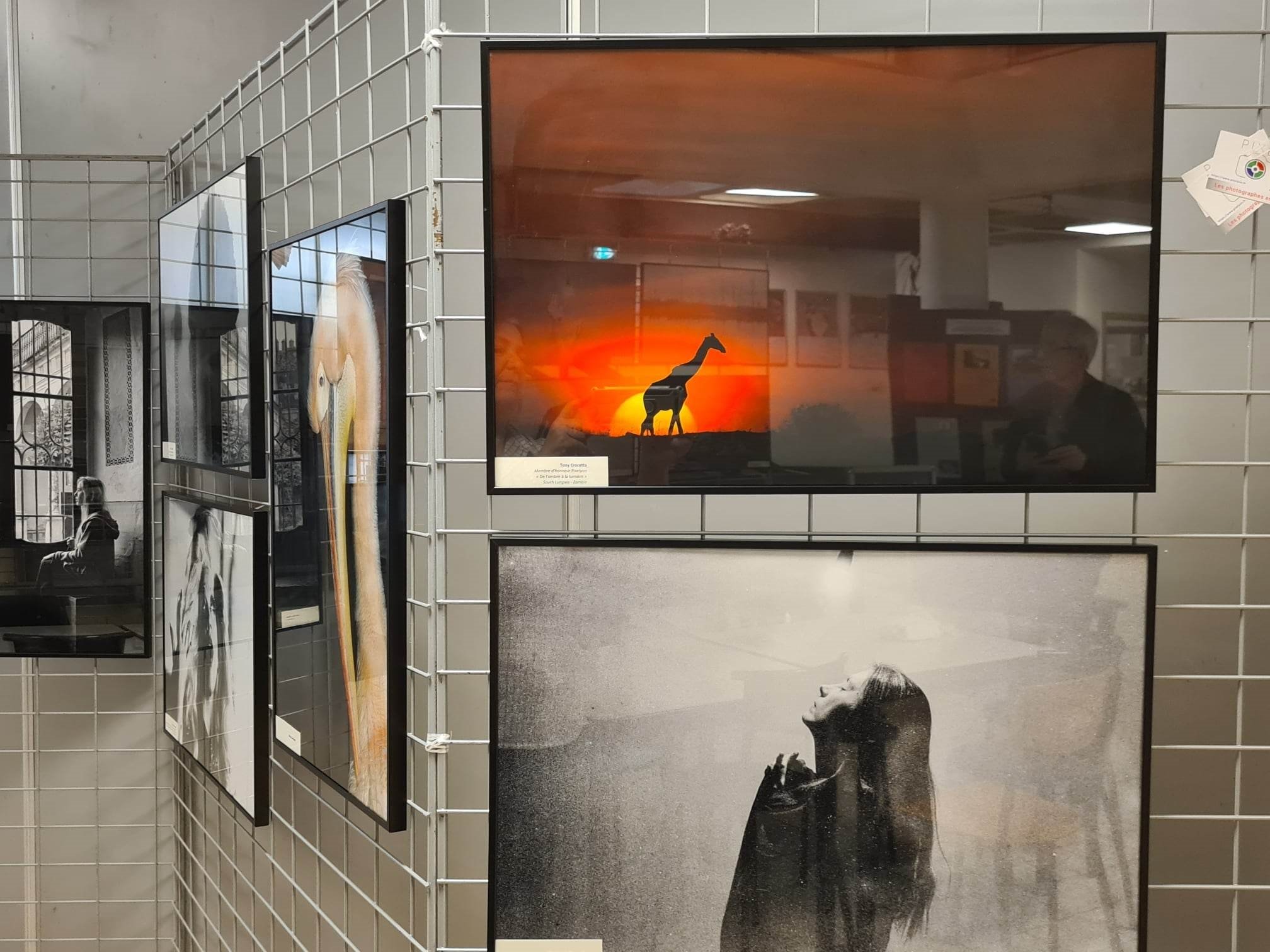 EXPOSITION Thème EMOTIONS