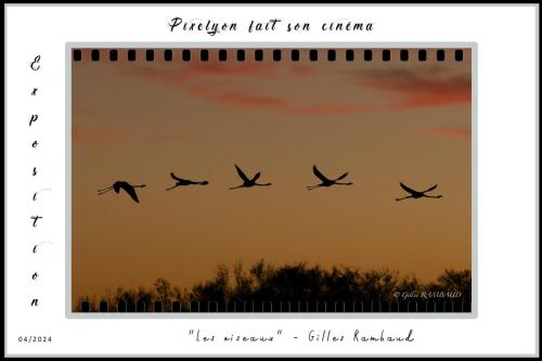 © Gilles RAMBAUD