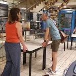 EXPO : démontage