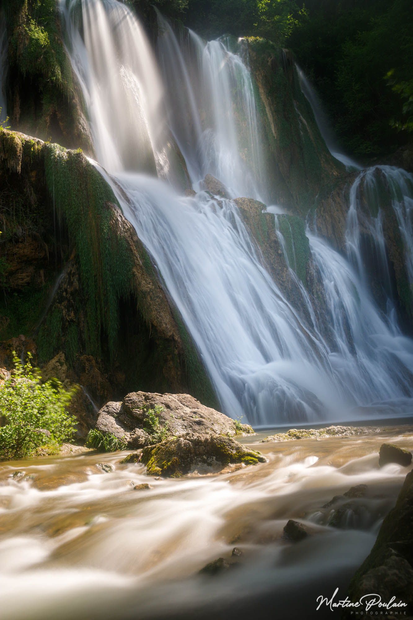 Sortie : Natures et cascades / Photo numérique et/ou argentique