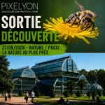 Sortie découverte 27/09/2026 - Nature / proxi , la nature au plus près
