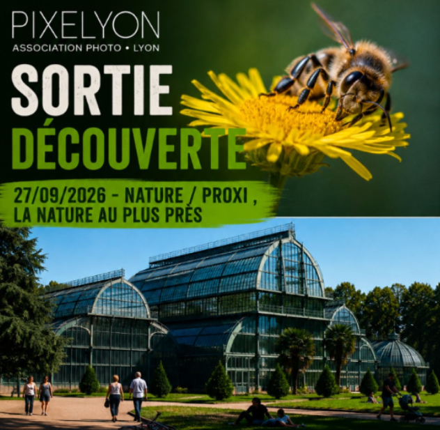 Sortie découverte 27/09/2026 - Nature / proxi , la nature au plus près