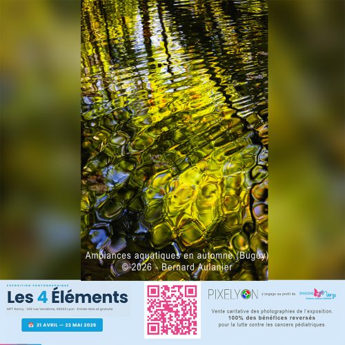 Bernard Aulanier - Ambiances  aquatiques en automne-Bugey