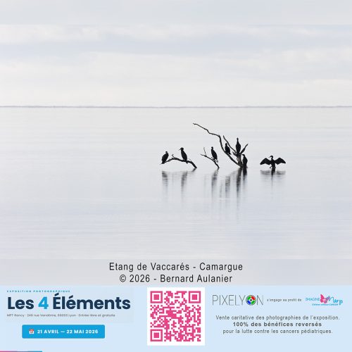 Bernard Aulanier - Etang de Vaccares - Camargue