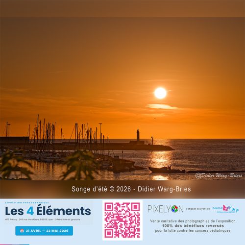 Didier Warg Briers - Songe d'été
