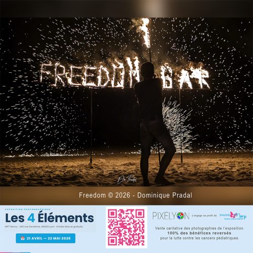 Dominique Pradal - Freedom