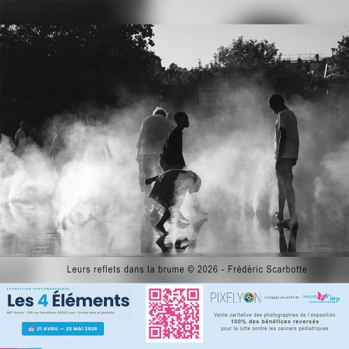 Frederic Scarbotte - Leurs reflets dans la brume.jpg