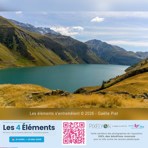 Gaelle Piat - Les éléments s' entremelent