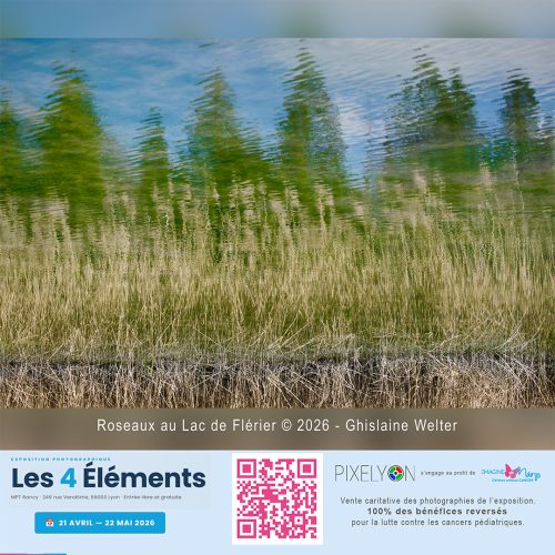 Ghislaine Welter - Roseaux au Lac de Flerier