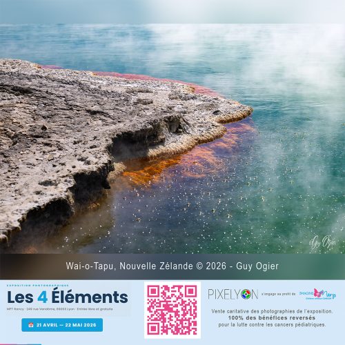 Guy Wai -oTapu -Nouvelle Zelande N°2