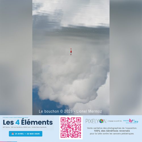 Lionel Mermoz - le bouchon