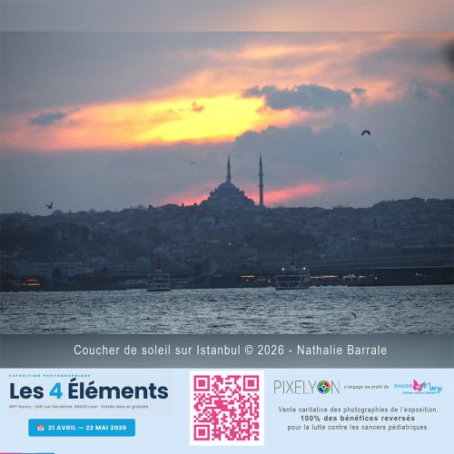 © Nathalie BARRALE