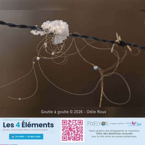 Odile Roux -Goutte à goutte