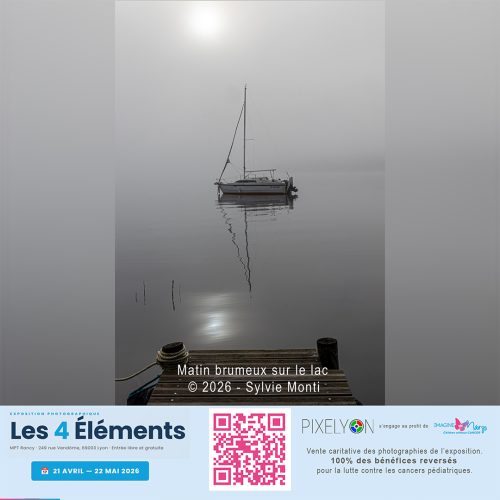 Sylvie Monti - Matin brumeux sur le lac