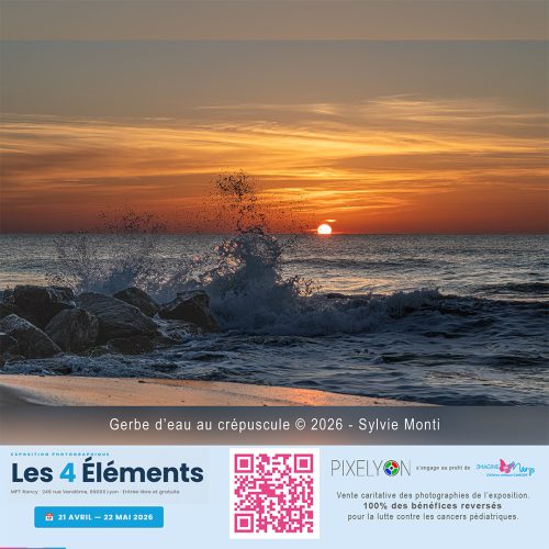 Sylvie Monti - Gerbe d'eau au crépuscule