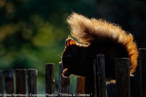 © Gilles Rambaud