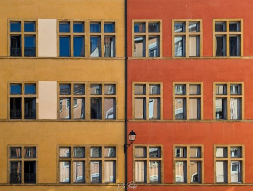 © Dominique Pradal 